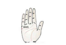 手相婚姻線圖解看你感情運勢