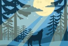 買鞋測你的社交陋習