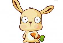 1963年生肖兔人在2020年的全年運(yùn)勢怎么樣,如何化解犯太歲