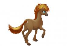 生肖馬男人與其他屬相女人結(jié)合的婚姻狀況如何,好不好?