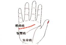 怎么看手相圖解?首先要會看這三條線