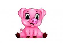 生肖豬和生肖雞的合財嗎?