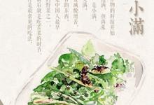 2020年四月廿八小滿祈福好不好,小滿節氣的由來解析