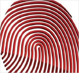 從你大拇指紋理 測你后半生日子是否滋潤(圖文)