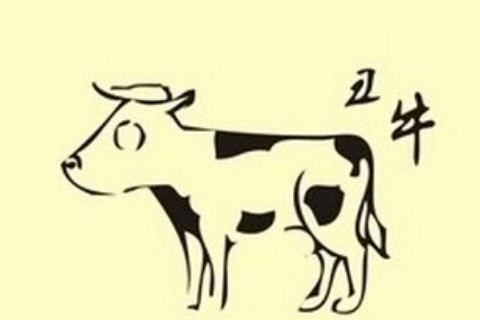 1949年屬牛出生人在2021年本命年多少歲，生肖牛今年運勢如何