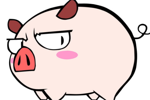 1971年出生51歲生肖豬女2021年運勢 71年今年運氣如何