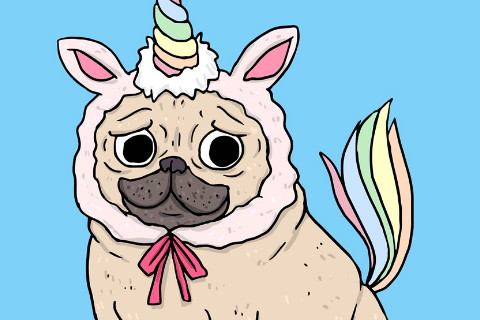 1970年出生52歲生肖狗男2021年運(yùn)勢(shì) 70年今年運(yùn)氣如何