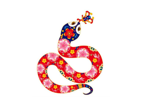 出生于1989年生肖蛇的人運勢如何?