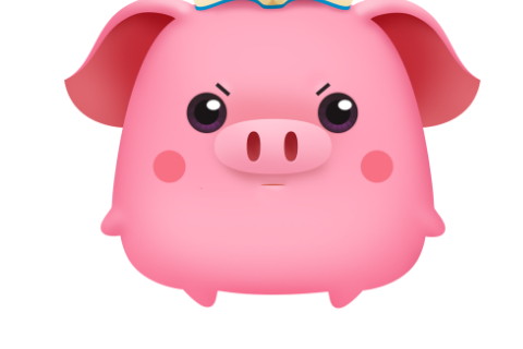 1971年出生51歲生肖豬男2021年運勢 71年今年運氣如何