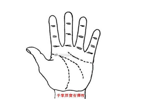 賢妻良母類型的女人面相的特征