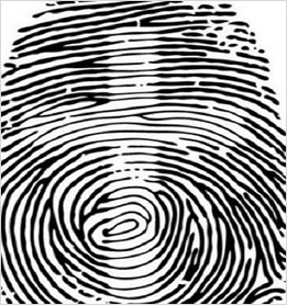 從你大拇指紋理 測你后半生日子是否滋潤(圖文)