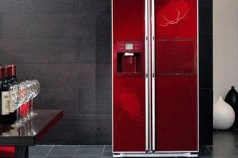 家里冰箱門是雙開風水好還是單開風水好