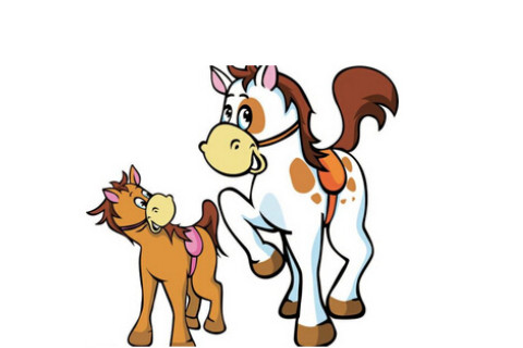 出生于1954年生肖馬的人運(yùn)勢(shì)如何？