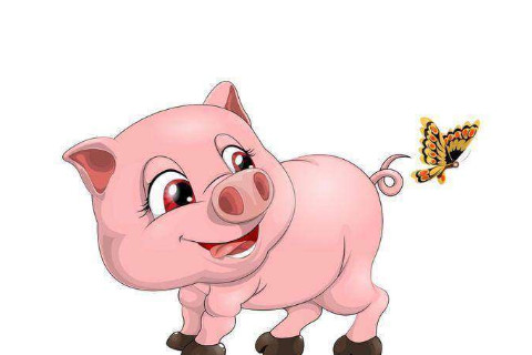 1959年屬豬的人2021年運程 牛年命運如何