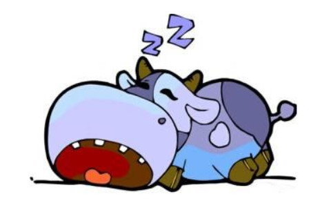 屬雞2021年運勢及運程 牛年生肖雞人命運大全