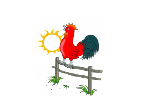 風水中農村晚上雞叫不吉利的說法