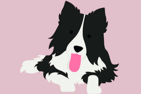 1970年出生52歲生肖狗女2021年運勢 70年今年運氣如何