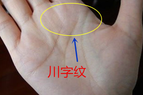 女人的雙川掌非富即貴是真是假?