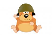 屬狗2021年運勢及運程  牛年生肖狗人命運大全