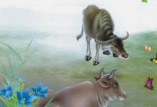 1961年屬牛人在2020年的運(yùn)勢(shì)以及運(yùn)程,59歲屬牛人運(yùn)勢(shì)詳解