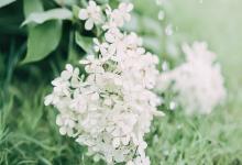 2020年農歷五月十七日出生的男孩五行缺什么起名好名字推薦