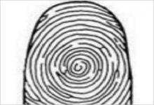 從你大拇指紋理 測你后半生日子是否滋潤