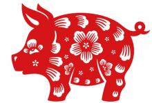 2020年屬豬運(yùn)勢(shì)以及運(yùn)程如何,屬豬今年適合辭職跳槽嗎