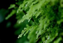 2020年農(nóng)歷五月三十日出生的男孩起名 男寶寶取名好名字大全