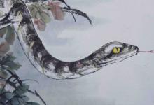 2020年屬蛇運(yùn)勢(shì)以及運(yùn)程如何,屬蛇今年適合辭職跳槽嗎