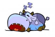 屬雞2021年運勢及運程 牛年生肖雞人命運大全