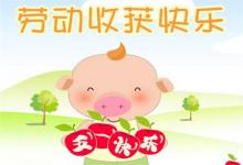 五一節(jié)出生的寶寶有勇敢精神寓意起名·名字分析！