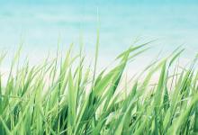 2020年農歷五月二十九日出生的女孩起名 好聽的名字取名大全