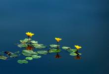 眼窩很深的人性格怎么樣?命運好不好?