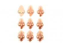 不同形狀的鼻子代表著什么 有什么含義