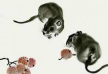 1960年屬鼠人在2020年的運(yùn)勢以及運(yùn)程，60歲屬鼠人運(yùn)勢詳解