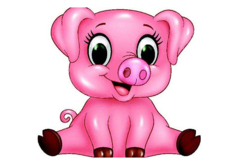 生肖豬人2021年的風水吉兇方位,風水禁忌有哪些