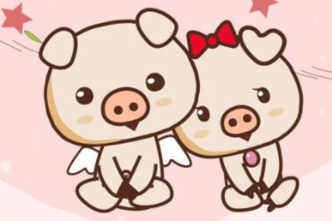 2020鼠年屬豬的多大年齡,運勢如何