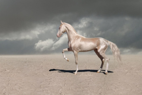 1978年出生的人命運好不好