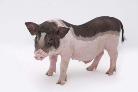 1971年出生的人命運怎么樣