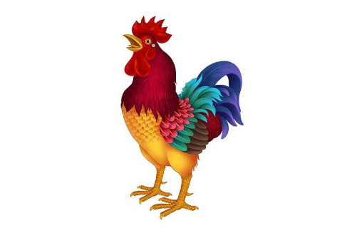 1969年是什么屬相