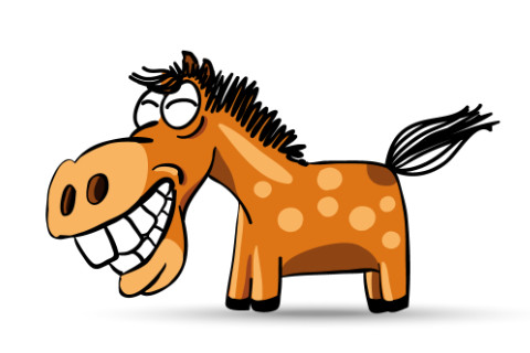 出生于2002年屬馬人2021年命運如何 如何化解犯太歲