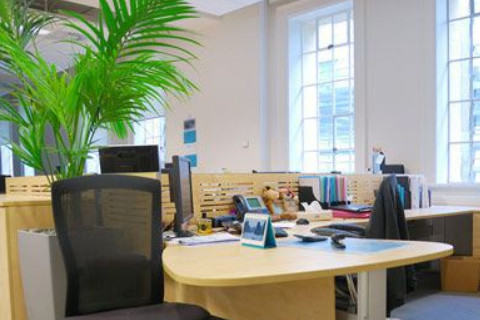 辦公室里面不好的風(fēng)水布置有哪些