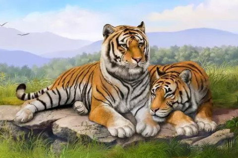 1998年出生的人命運好不好