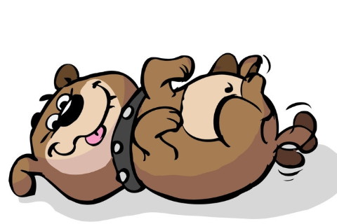 2018年出生4歲生肖狗女2021年運勢 18年今年運氣如何