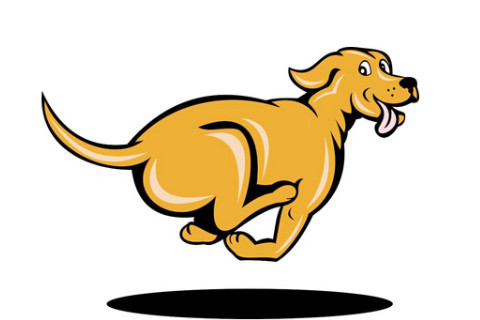 出生于1958年屬狗人2021年命運如何 如何化解犯太歲