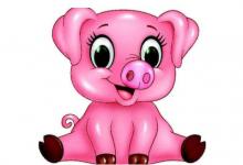 生肖豬人2021年的風水吉兇方位,風水禁忌有哪些