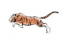 1998年是什么屬相