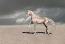 1978年出生的人命運好不好