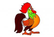 生肖雞人2021年的風(fēng)水吉兇方位,風(fēng)水禁忌有哪些