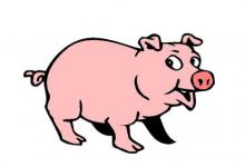 1959年是什么屬相